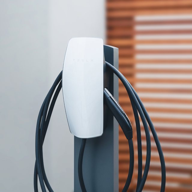 Tesla Wall Connector (Gen 3) (WattsApp)